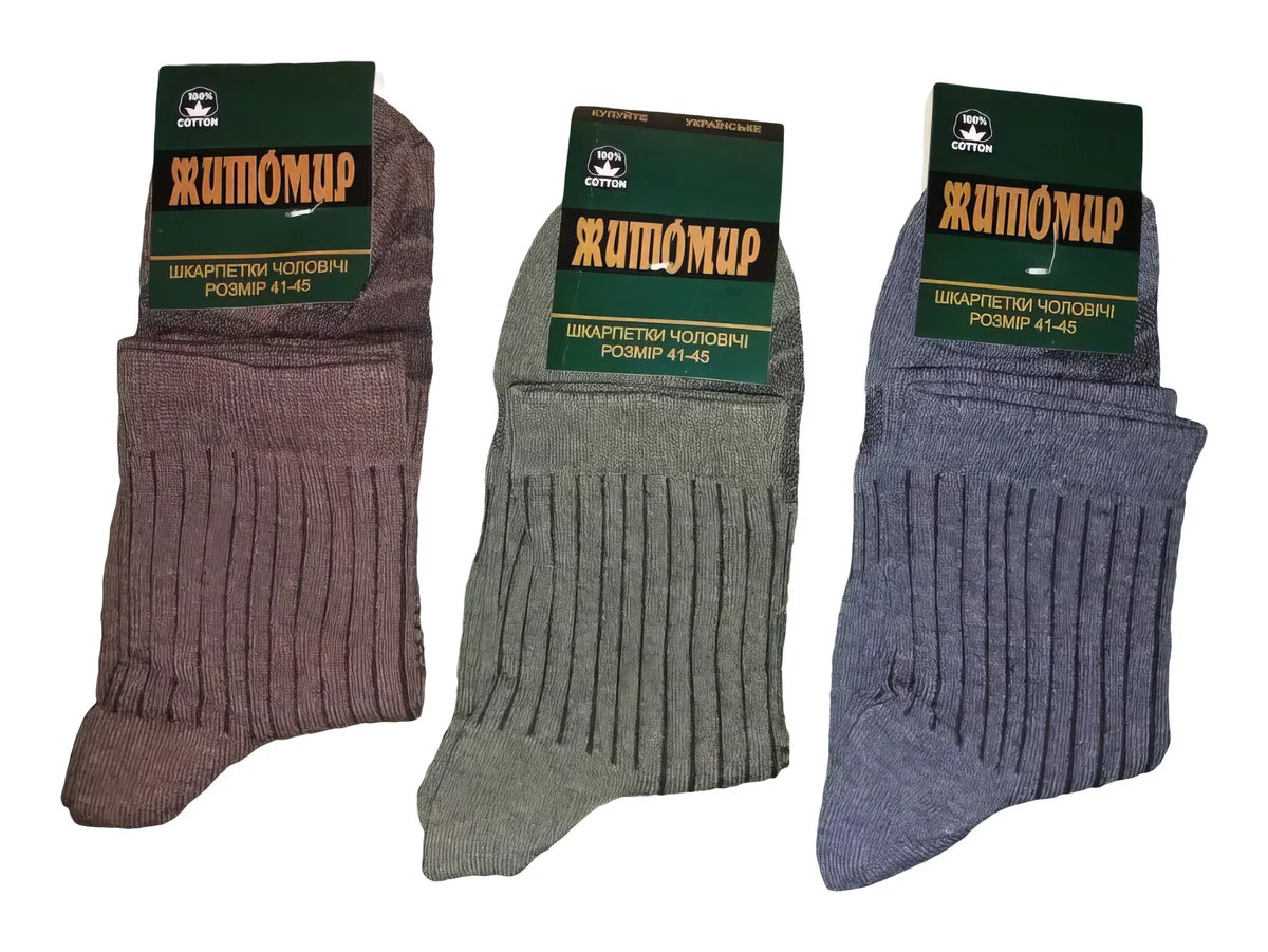 Чоловічі шкарпетки "Житомир" (12 пар в 1 уп.)