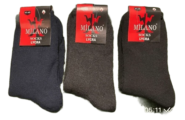 Чоловічі шкарпетки махрові стрейчеві класичні (12 пар в 1 уп.)