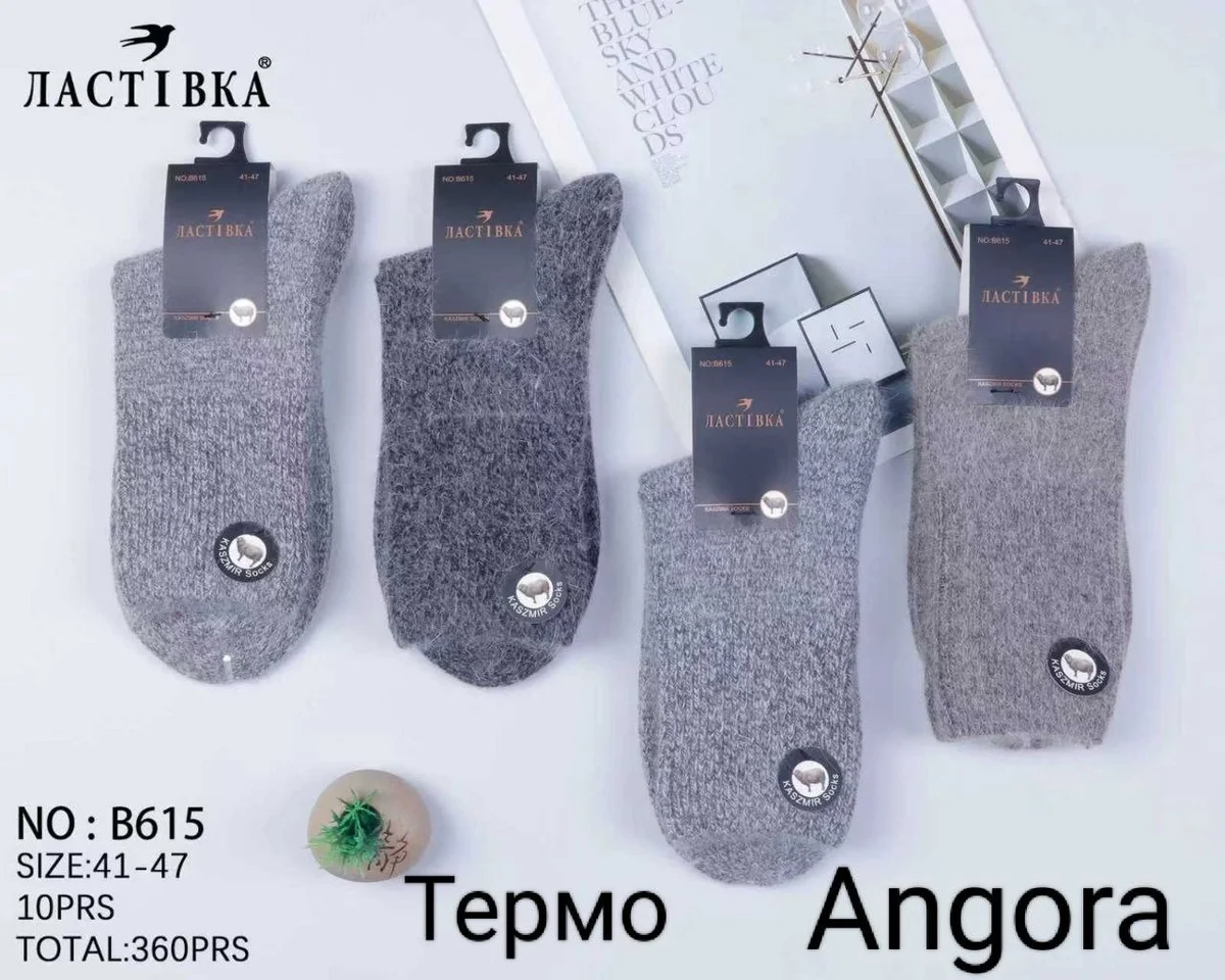 Чоловічі термо шкарпетки "Ластівка" ангора (10 пар в 1 уп.)