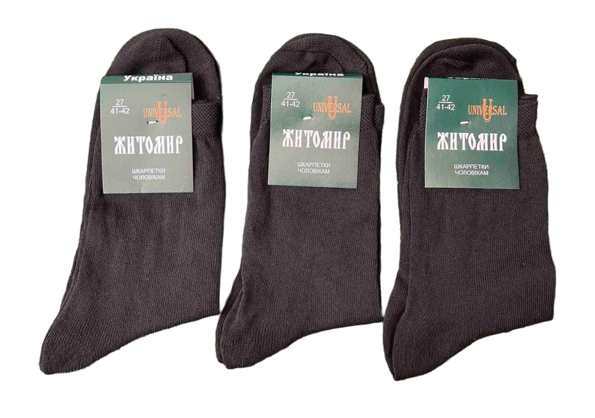 Шкарпетки "Житомир" чоловічі демісезонні (12 пар в 1 уп.)