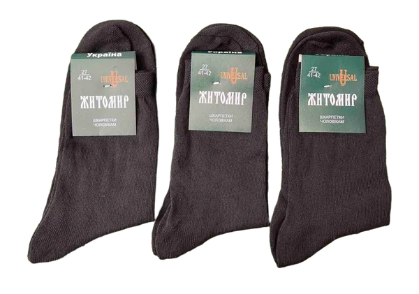 Шкарпетки "Житомир" чоловічі демісезонні (12 пар в 1 уп.)